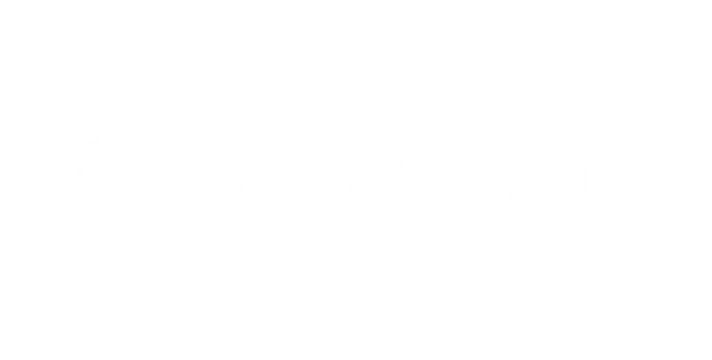 Flexfit logo